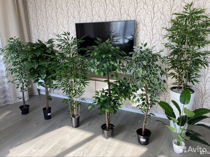 Искусственные растения и деревья