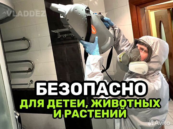 Уничтожение тараканов, клопов, плесени,Дезинфекция