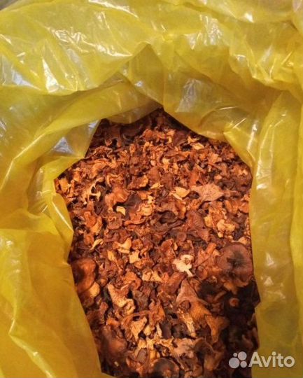 Сушеные грибы лисички