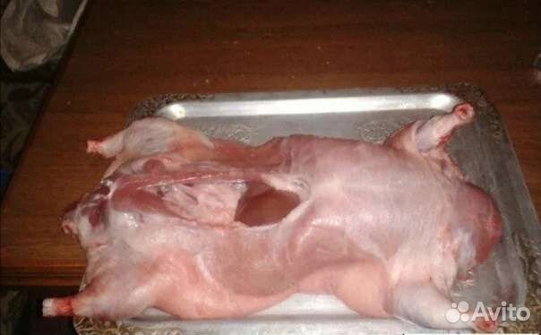 Продукты питания
