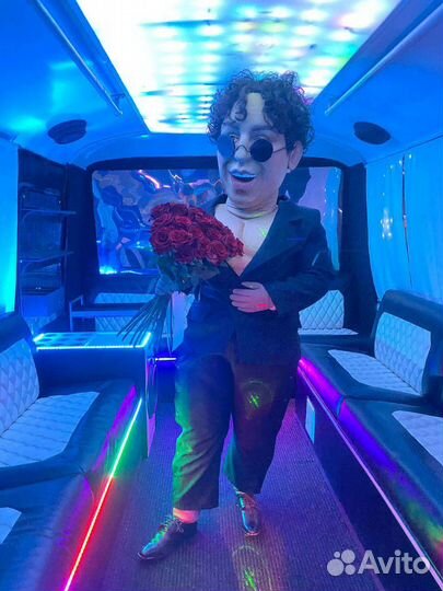 Ростовая кукла/звезды эстрады