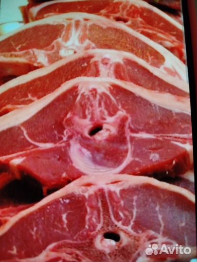 Мясо конина