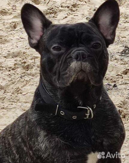 Вязка французский бульвар