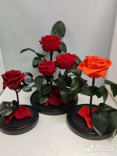 Роза в колбе