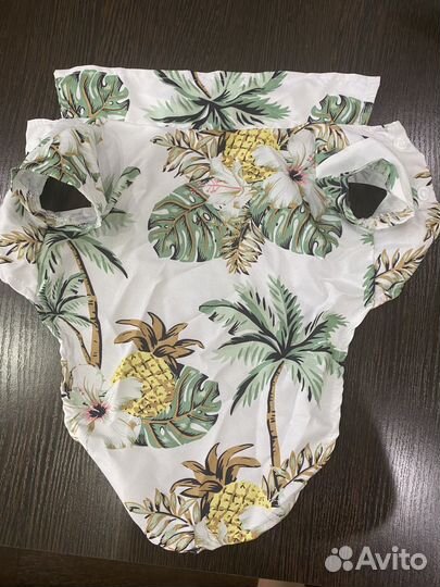 Кофта, шлейка, воротник, фонтан для собак и кошек