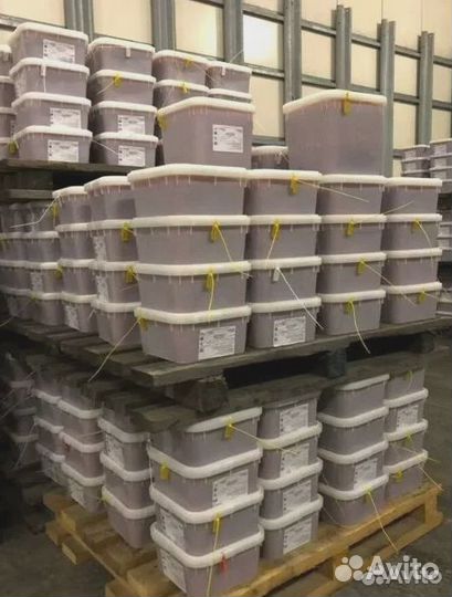 Доставка Икры Томск