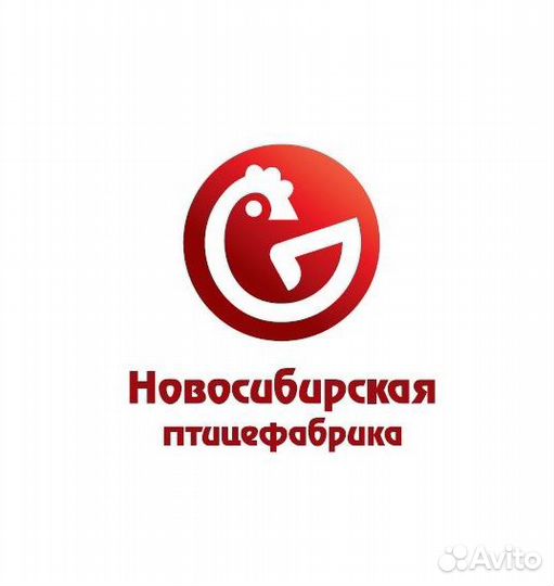 Старший прораб