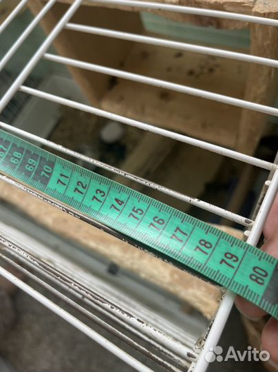 Огромная клетка