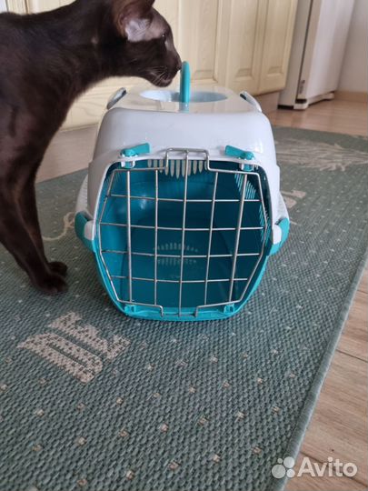 Переноска для животных