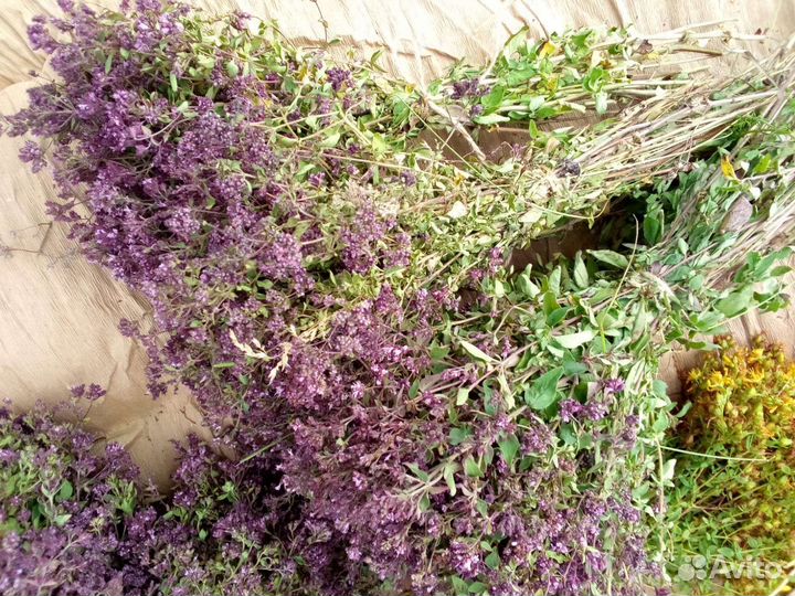 Душица, зверобой, мились2023