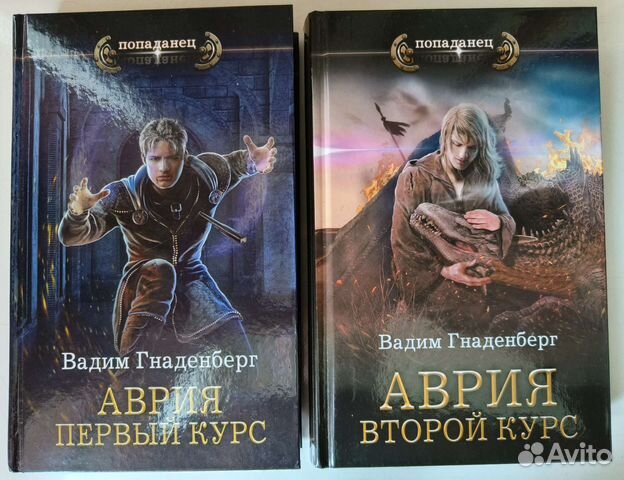 Гнаденберг В. Авария. Попаданец