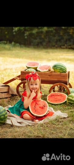 25 августа фотопроект Арбузный день