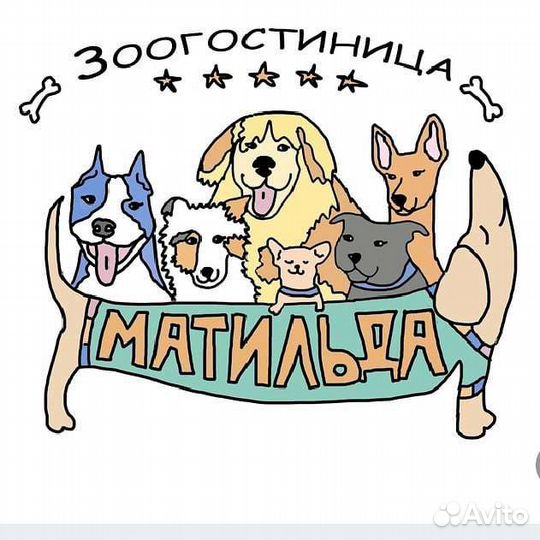 Зоогостиница для собак