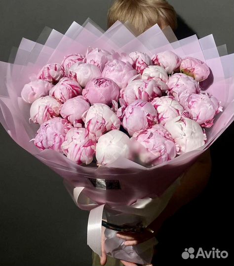 Голландские пионы