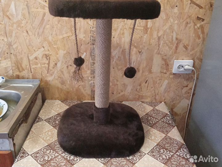 Когтеточка