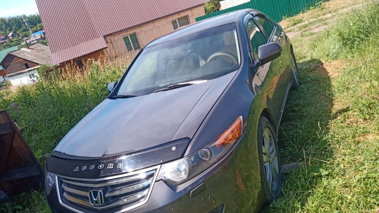 Honda Accord: фото владельца
