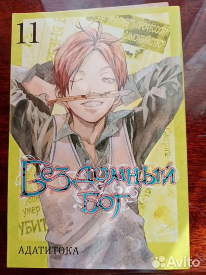 Бездомный бог 11 том