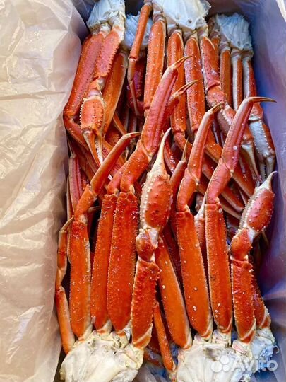 Конечности камчатского краба