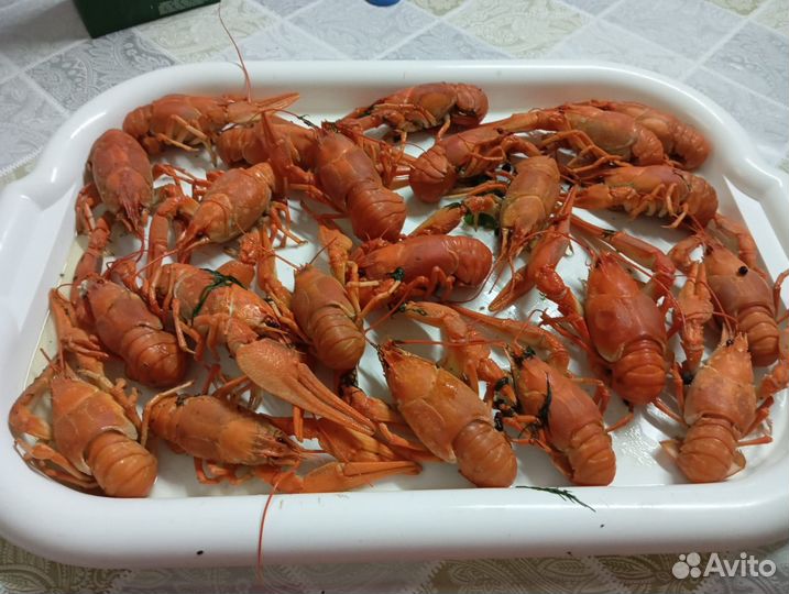 Продукты питания