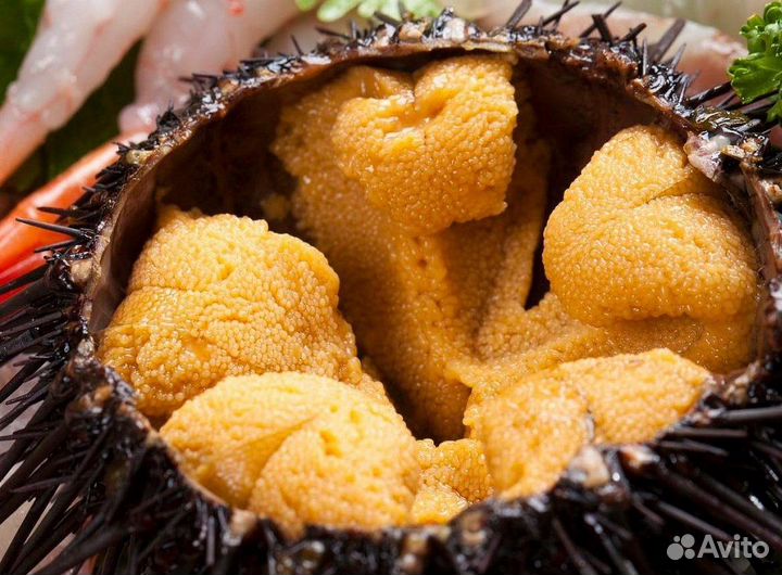 Рыба икра морепродукты