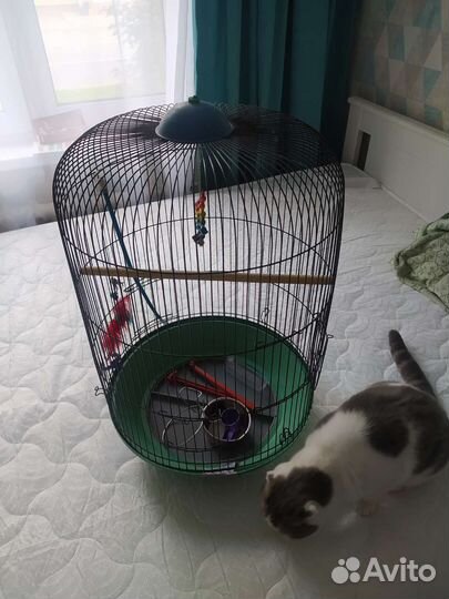 Клетка для попугая