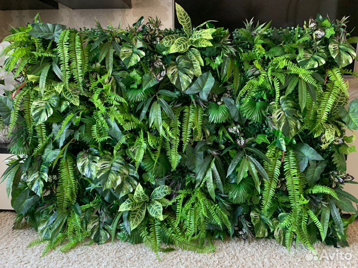 Фитостены, фитопанно и потолочное озеленение