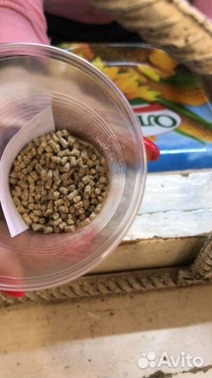 Комбикорм для птицы (бройлеры, куры,утки)