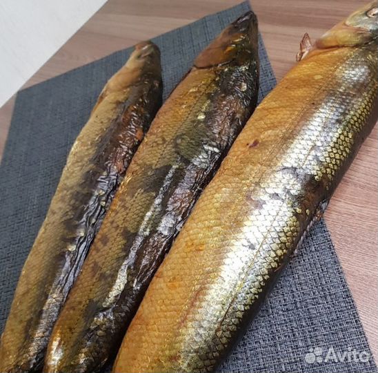 Коптильня с дымогенератором
