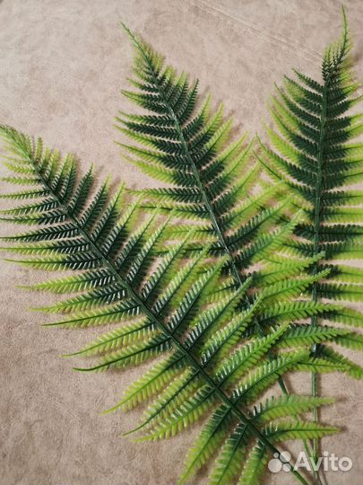Папоротник лесной искусственный