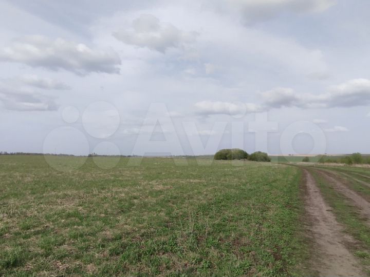 Участок 25 га (СНТ, ДНП)