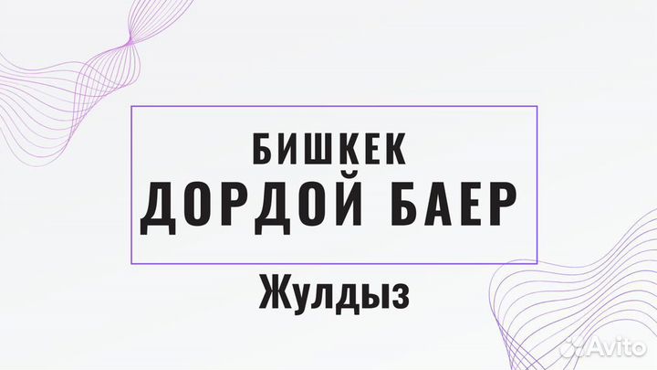 Байер Киргизия