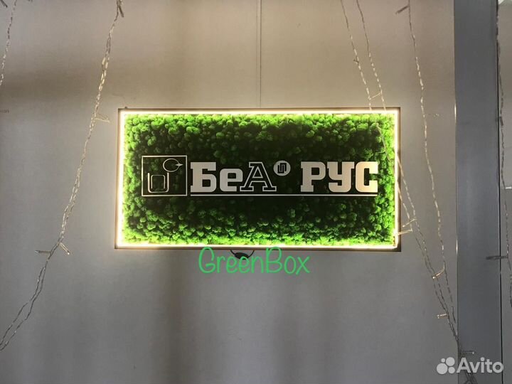 Панно из мха логотип с подсветкой