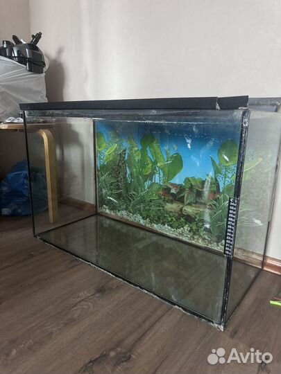 Аквариум