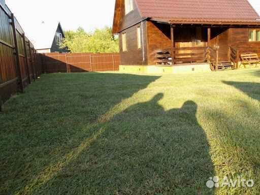 Рулонный газон /продажа/укладка