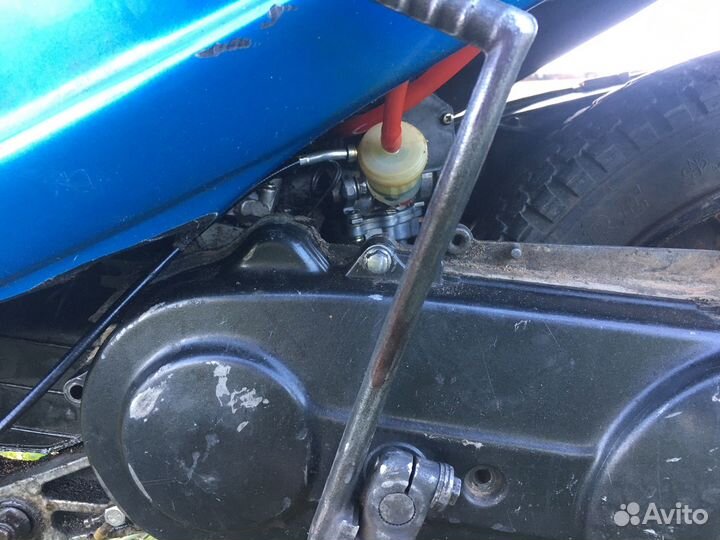 Suzuki sepia
