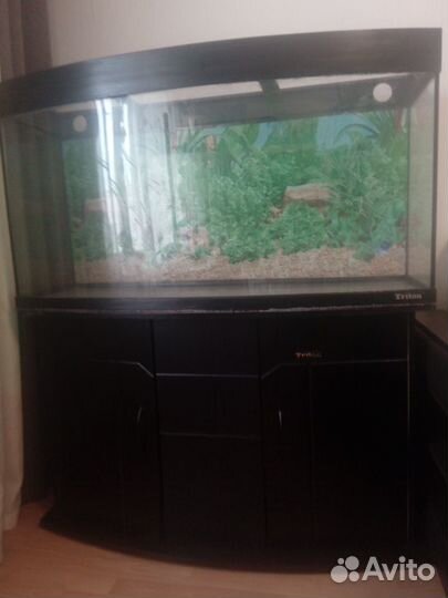 Аквариум 350 л