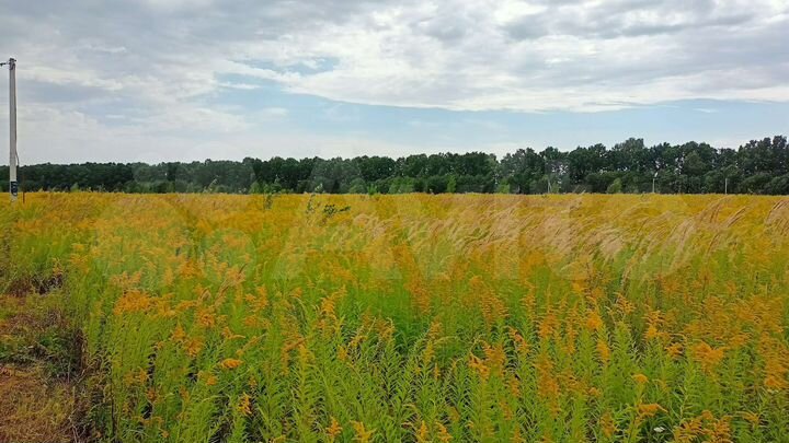 Участок 17 сот. (ИЖС)