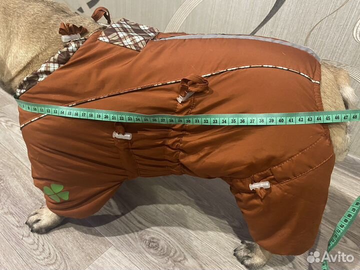 Одежда для средних собак