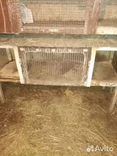 Клетка для кролика