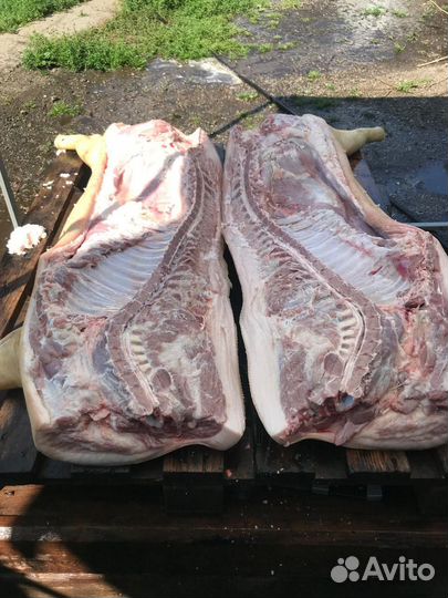 Мясо свинина