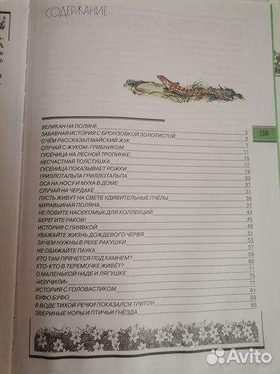 А. А. Плешаков Великан на поляне