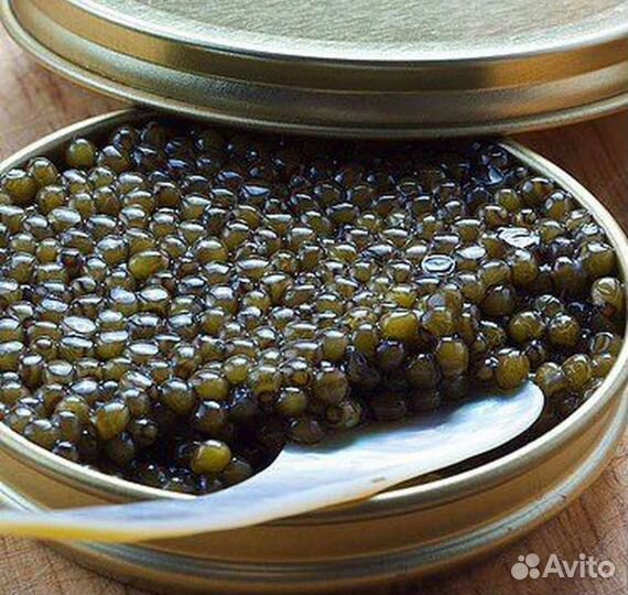 Красная и чёрная икра