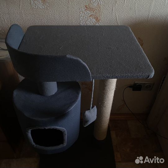 Когтеточка