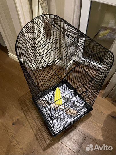 Клетка для попугаев большая новая