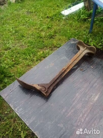 Лапа сапожная