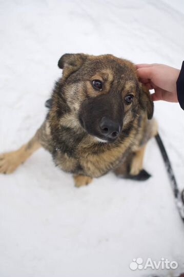 Нюша хочет домой