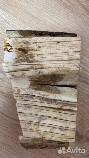 Бивень мамонта