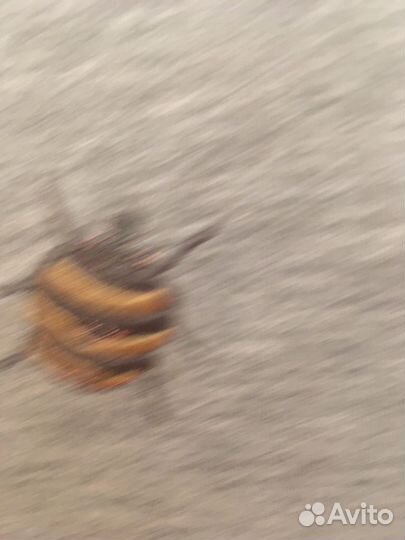 Свитшот для девочки