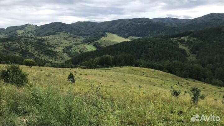 Путешествие на Алтай летом экспедиции 5-9 дн