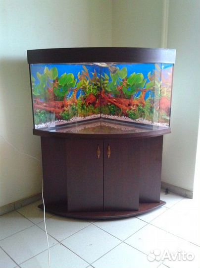 Аквариум230